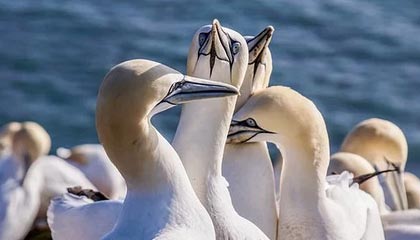 杭州队赢了！三连胜达成！现场喊得最大声的是“梅西”和她的小伙伴