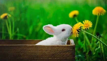 杭州队赢了！三连胜达成！现场喊得最大声的是“梅西”和她的小伙伴